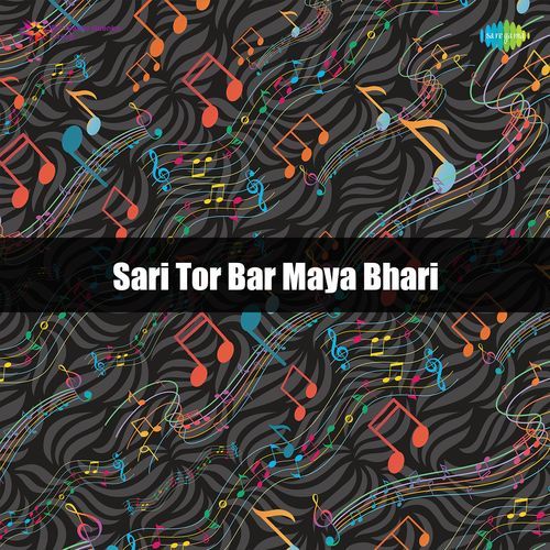 Sari Tor Bar Maya Bhari