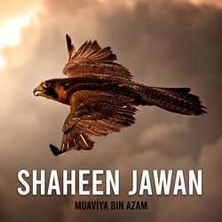 Shaheen Jawan-HQU6dCEID2Y