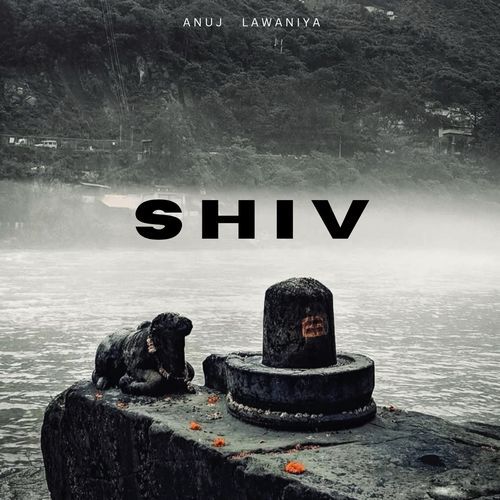 Shiv