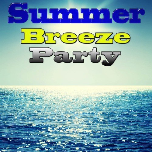 Summer Breeze Party