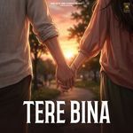 Tere Bina