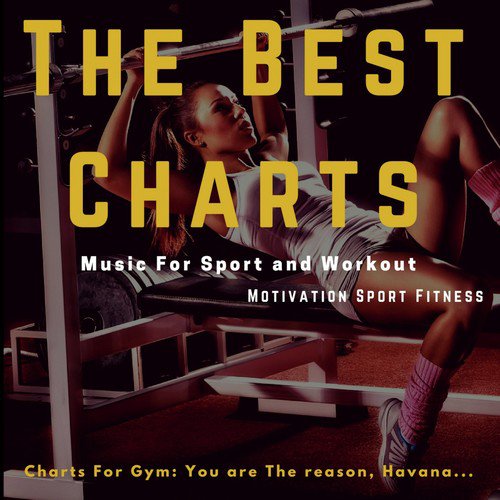 The Best Charts Music for Sport and Workout (Charts for Gym: You Are the Reason, Havana...)_poster_image