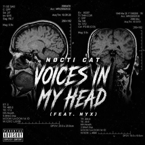Voices In My Head (feat. Nyx)