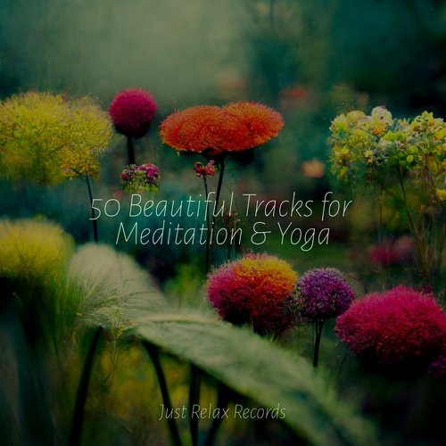 50 Beautiful Tracks for Meditation & Yoga