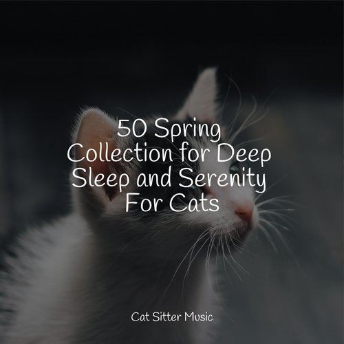 50 Spring Collection for Deep Sleep and Serenity For Cats