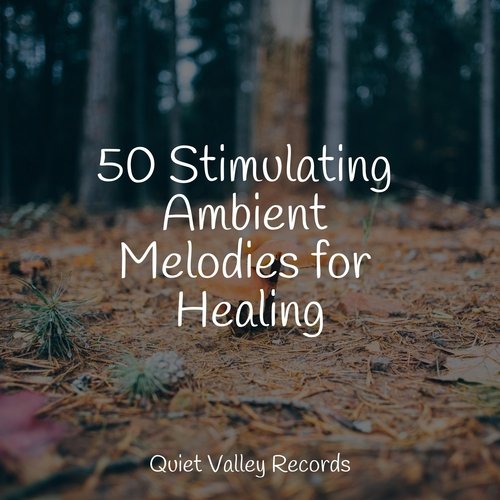 50 Stimulating Ambient Melodies for Healing