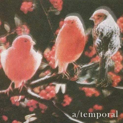 Zolpidem cover art