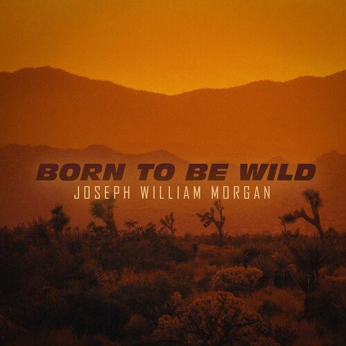 Born To Be Wild_poster_image