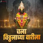 Paule Chalali Pandharichya Dwari artwork