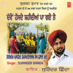Hasde Shaheediyaan Pa Gaye Ne