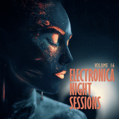 Electronica: Night Sessions, Vol. 16