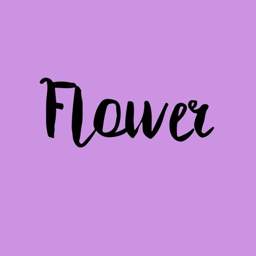 Flower