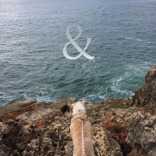 Husbands cover art