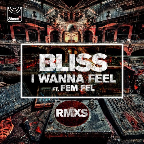 I Wanna Feel (Remixes)_poster_image