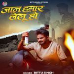 Jaan Hamar Lelu Ho