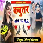 Kabutar Bole Love You Too