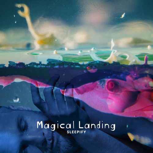 Magical Landing_poster_image