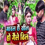 Maral Chhai Sil Ho Gaile Dhil