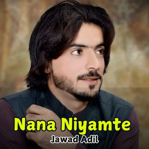 Nana Niyamte