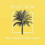 Right Now (feat. BillyLo & Jovian Demarr)
