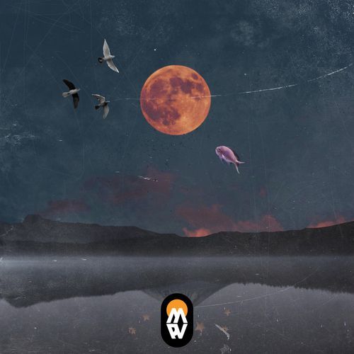 Serendipity's Embrace