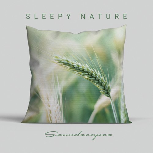 Sleepy Nature Soundscapes