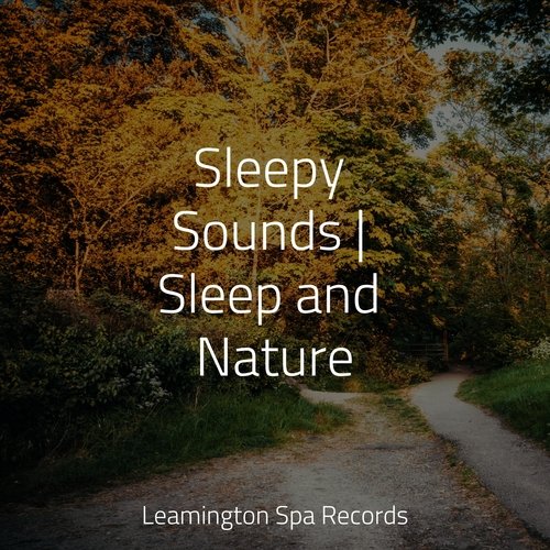 Sleepy Sounds | Sleep and Nature