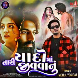 Tari Yaado Maa Jivava Nu