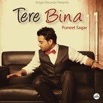 Tere Bina