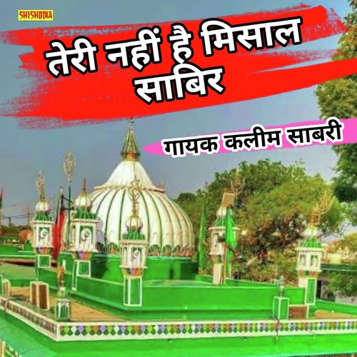 Teri Nahi Hai Misaal Sabir