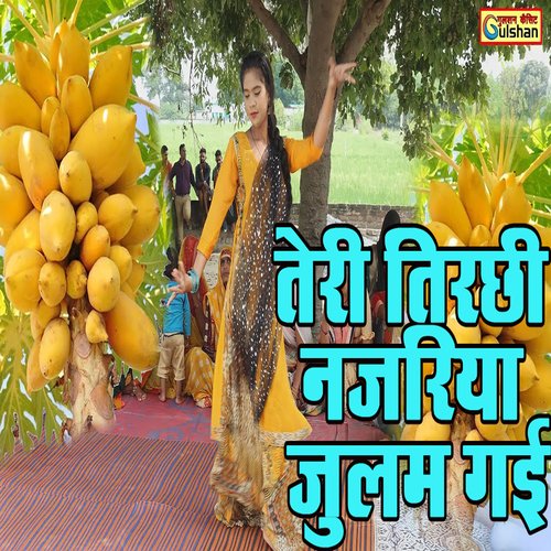 Teri Tirchi Najariya Julam Gai