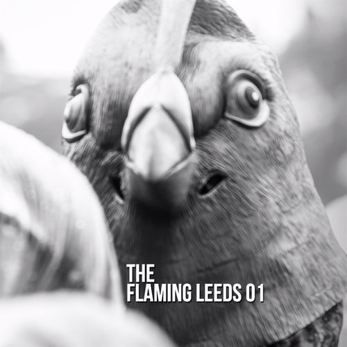 The Flaming Leeds 01
