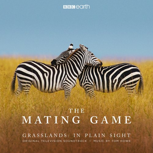 The Mating Game - Grasslands: In Plain Sight (Original Television Soundtrack)_poster_image