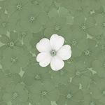 The One and Only Flower