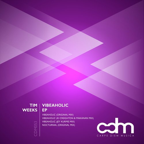 Vibeaholic (Jey Kurmis Remix) cover art