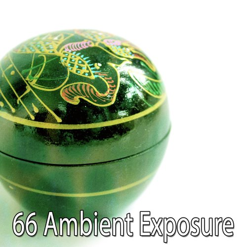 66 Ambient Exposure