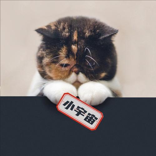 小宇宙 - JioSaavn - Listen to New & Old Indian & English Songs