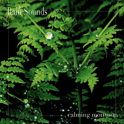 The Rain Library cover art