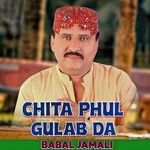 Chita Phul Gulab Da