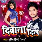 Diwana Dil