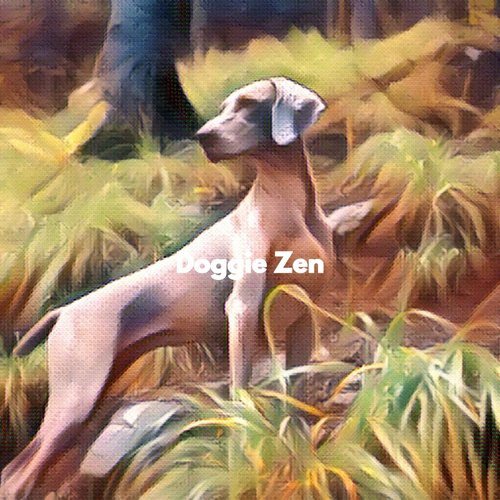 Cultured Creative Moods cover art