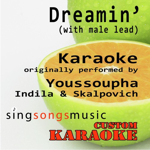 Dreamin' (with Male Lead) [Originally Performed By Youssoupha, Indila & Skalpovitch] [Karaoke Audio Version]