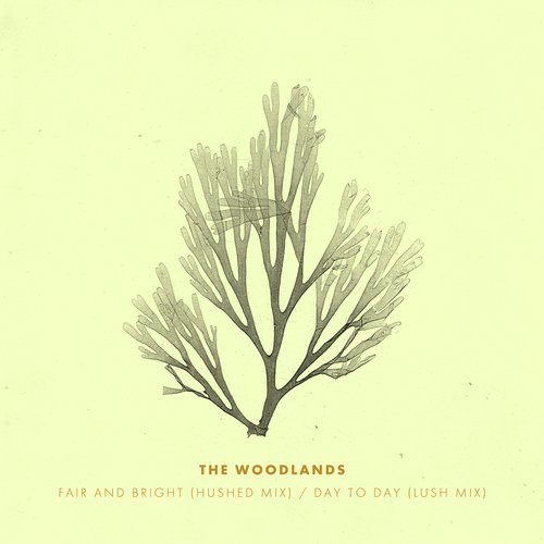 Fair and Bright (Hushed Mix) / Day to Day (Lush Mix)