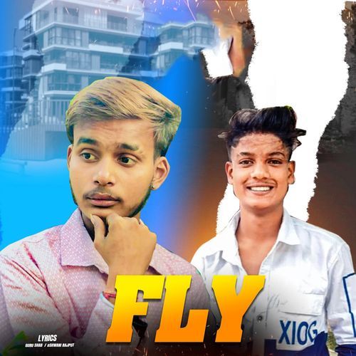 Fly