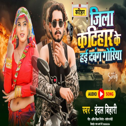 Jila katihar ke Hai dabang goriya cover art