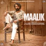 Maalik_poster_image