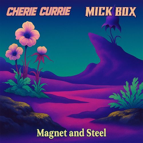 Magnet And Steel