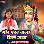 Mor Pankh Wala Mil Gaya