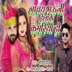 Nachay Bhauji Hilake Kamariya Ho