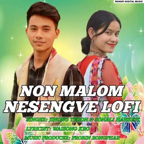 Non Malom Nesengve Lofi